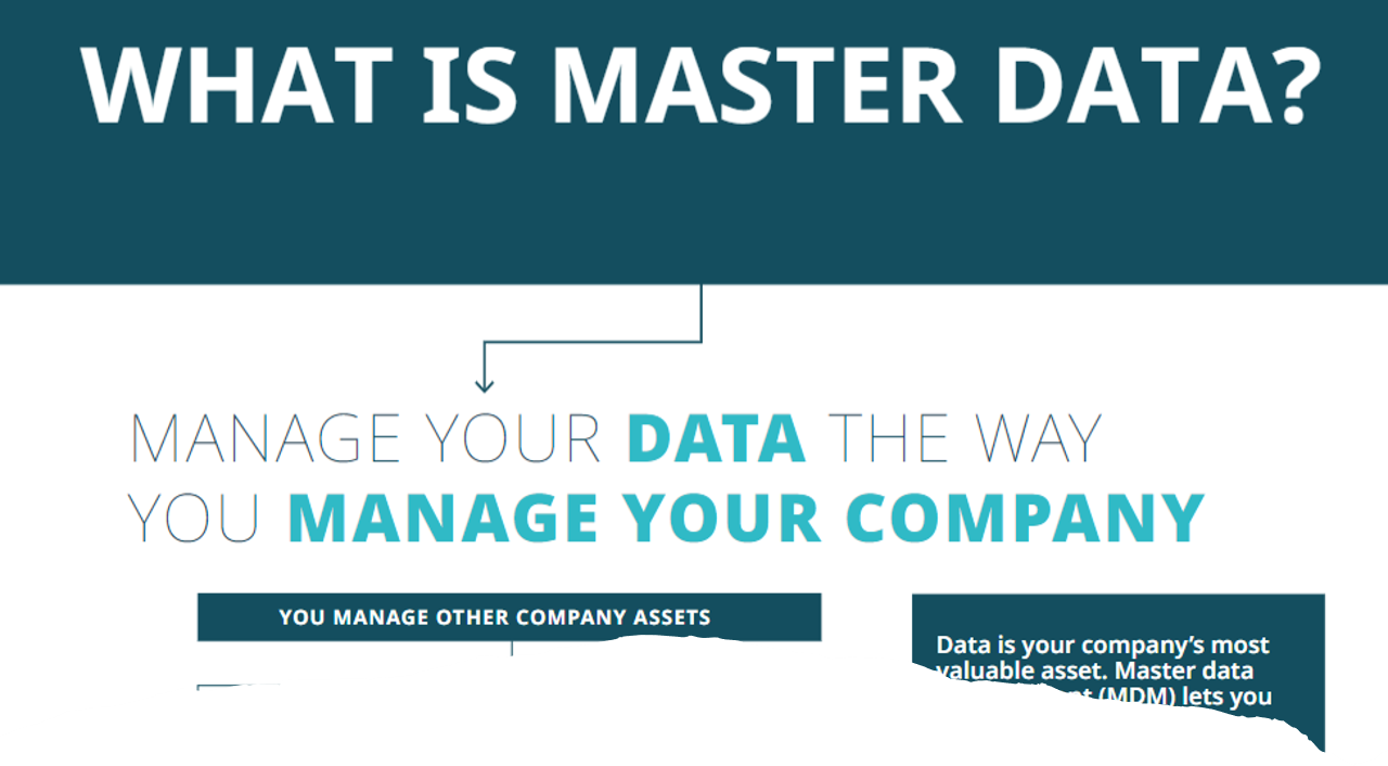 what is master data inforgraphic